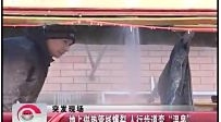 地上供热管线爆裂 人行步道变“温泉”